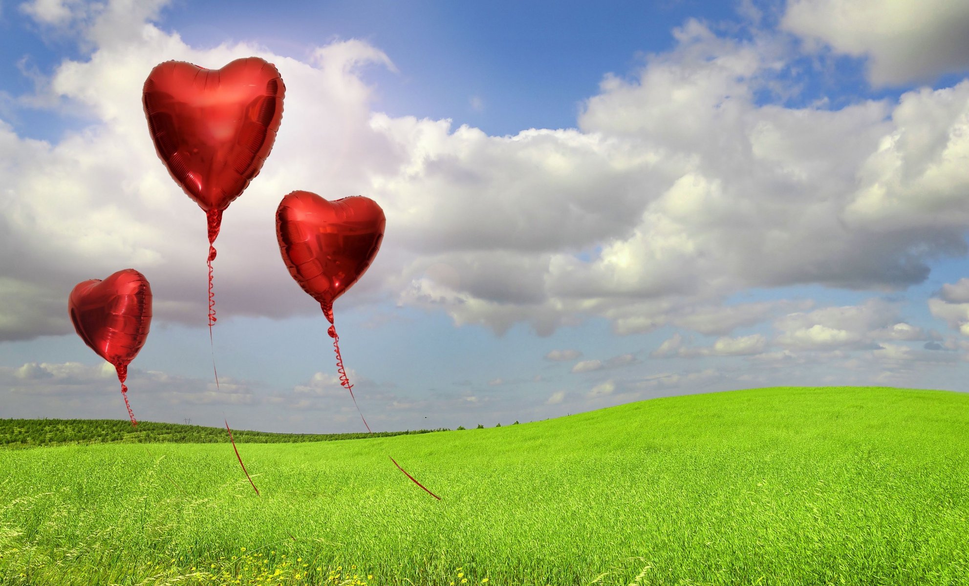 mood balloons bulbs color grass green nature sky background wallpaper widescreen full screen hd wallpapers