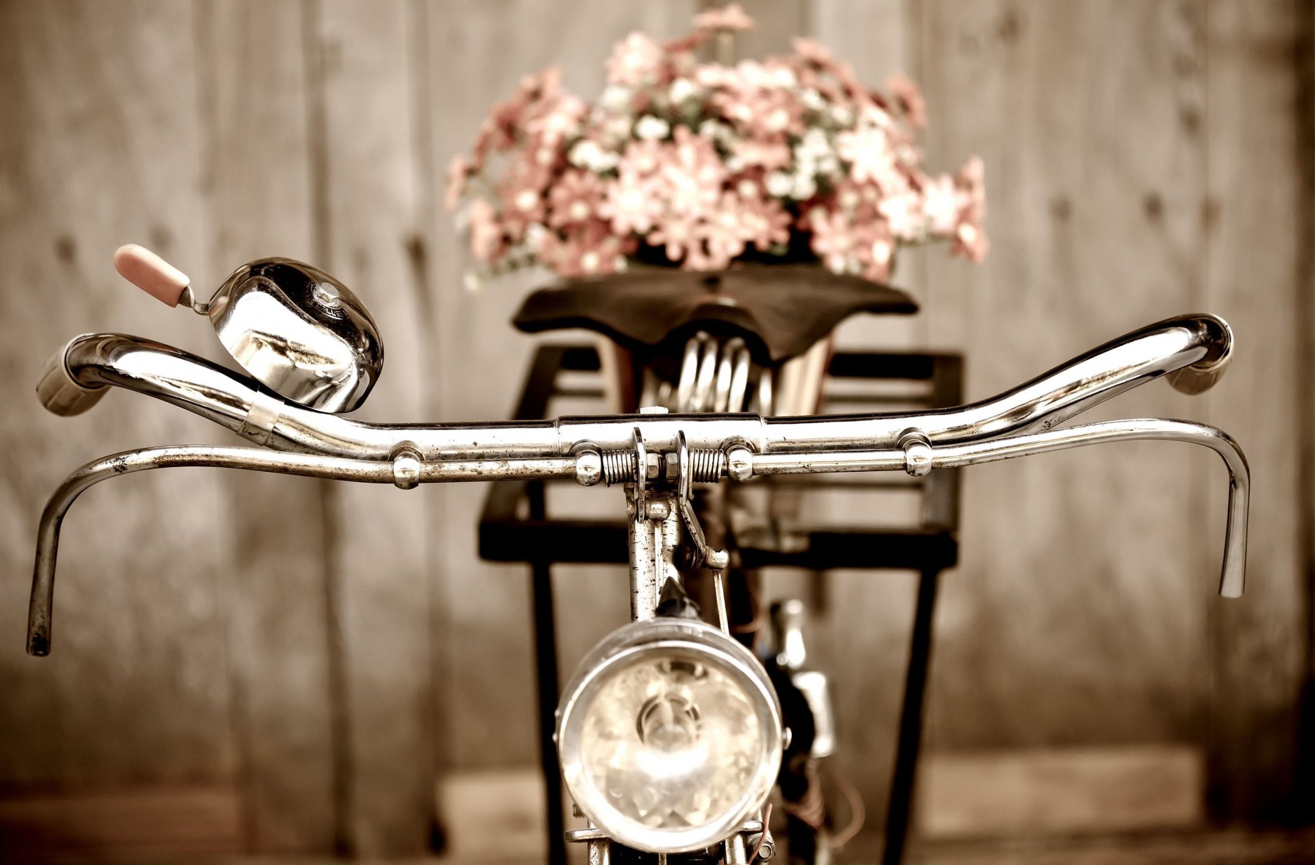mood bike steering wheel flower flowers bicycle background wallpaper widescreen full screen hd wallpapers