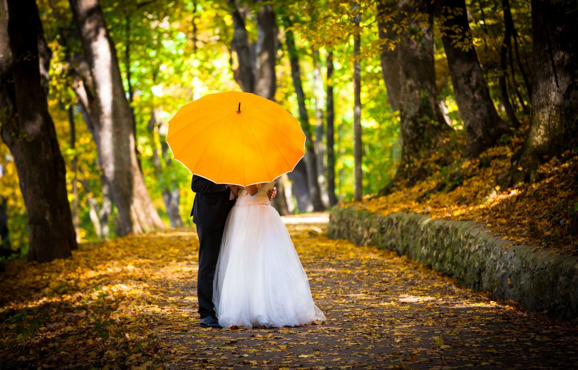 mood girl guy men a woman wedding dress groom bride newlyweds autumn suit tuxedo umbrella yellow path alley tree love trees wedding wallpaper widescreen full screen hd wallpapers