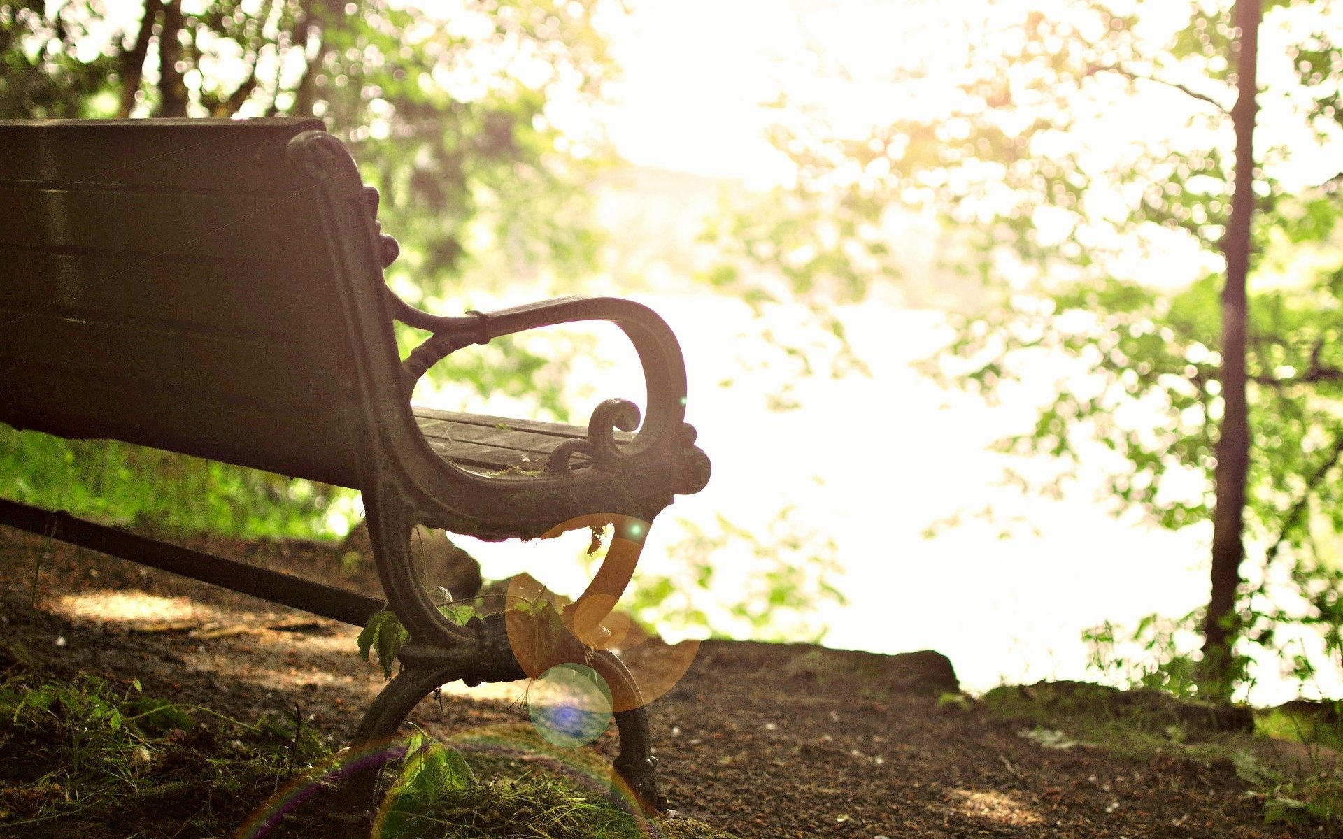 mood bench shop tree leaves bokeh sun background wallpaper widescreen full screen hd wallpapers fullscreen