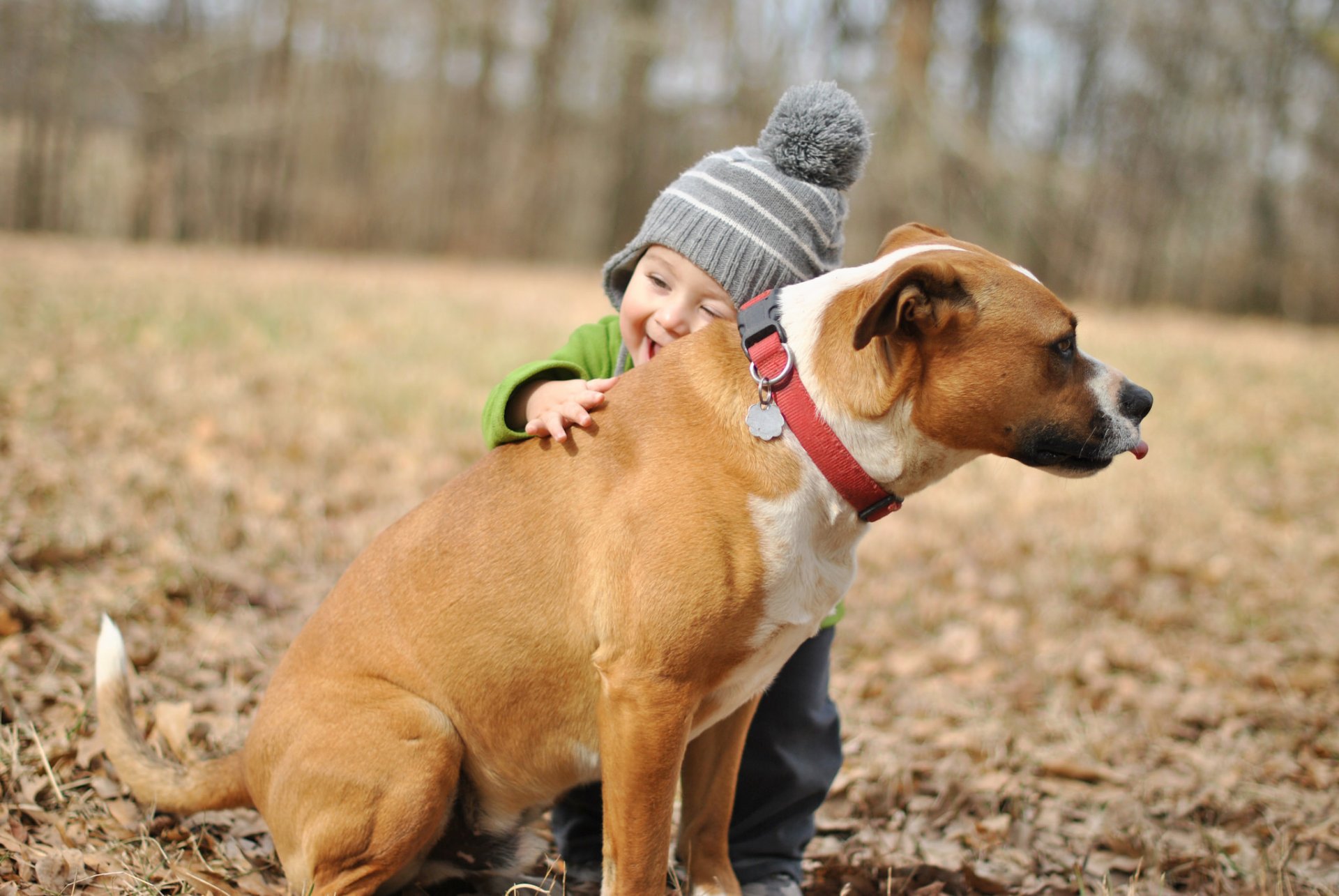 boys dog other mood happiness hug baby boy friend joy hugs background wallpaper widescreen full screen hd wallpapers fullscreen