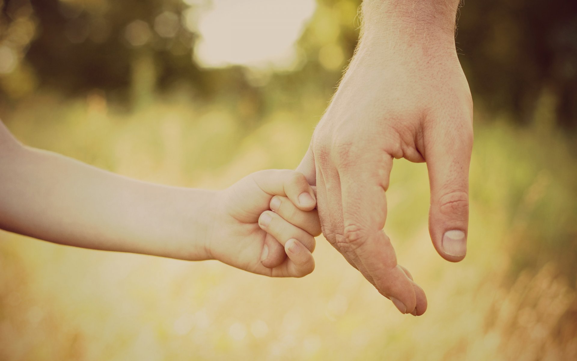 hand hands dad son children daughter kids love care protection helplessness confidence walk grass focus bokeh forest fingers thumb fatherhood happiness young pen babes boys girls serenity of mind hd w