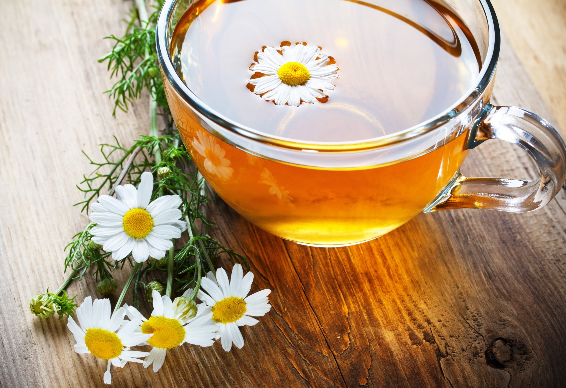 mood cup mug tea daisy flower flowers background wallpaper widescreen full screen hd wallpapers