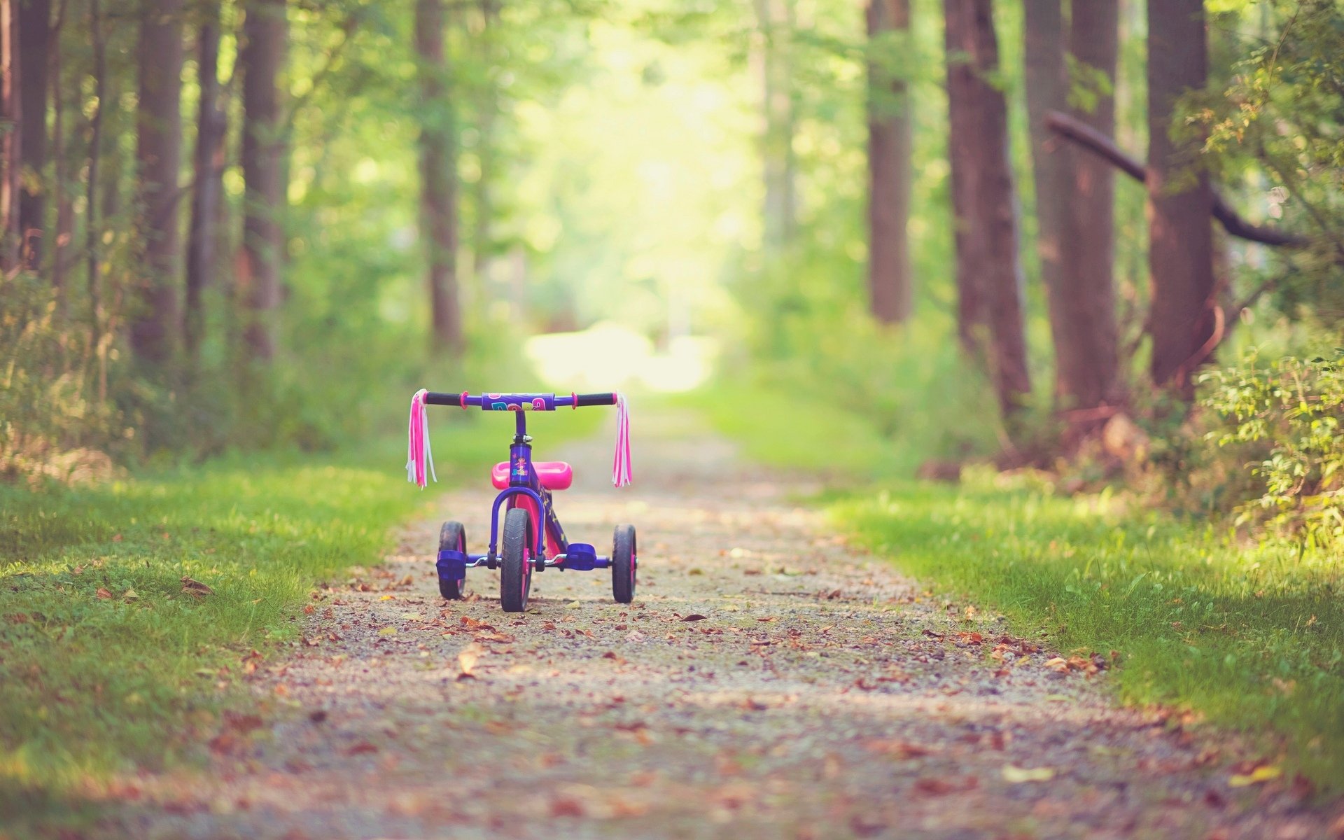 mood bike children's childhood pink tree leaves path track autumn trees leave bicycle footpath background wallpaper widescreen full screen hd wallpapers fullscreen