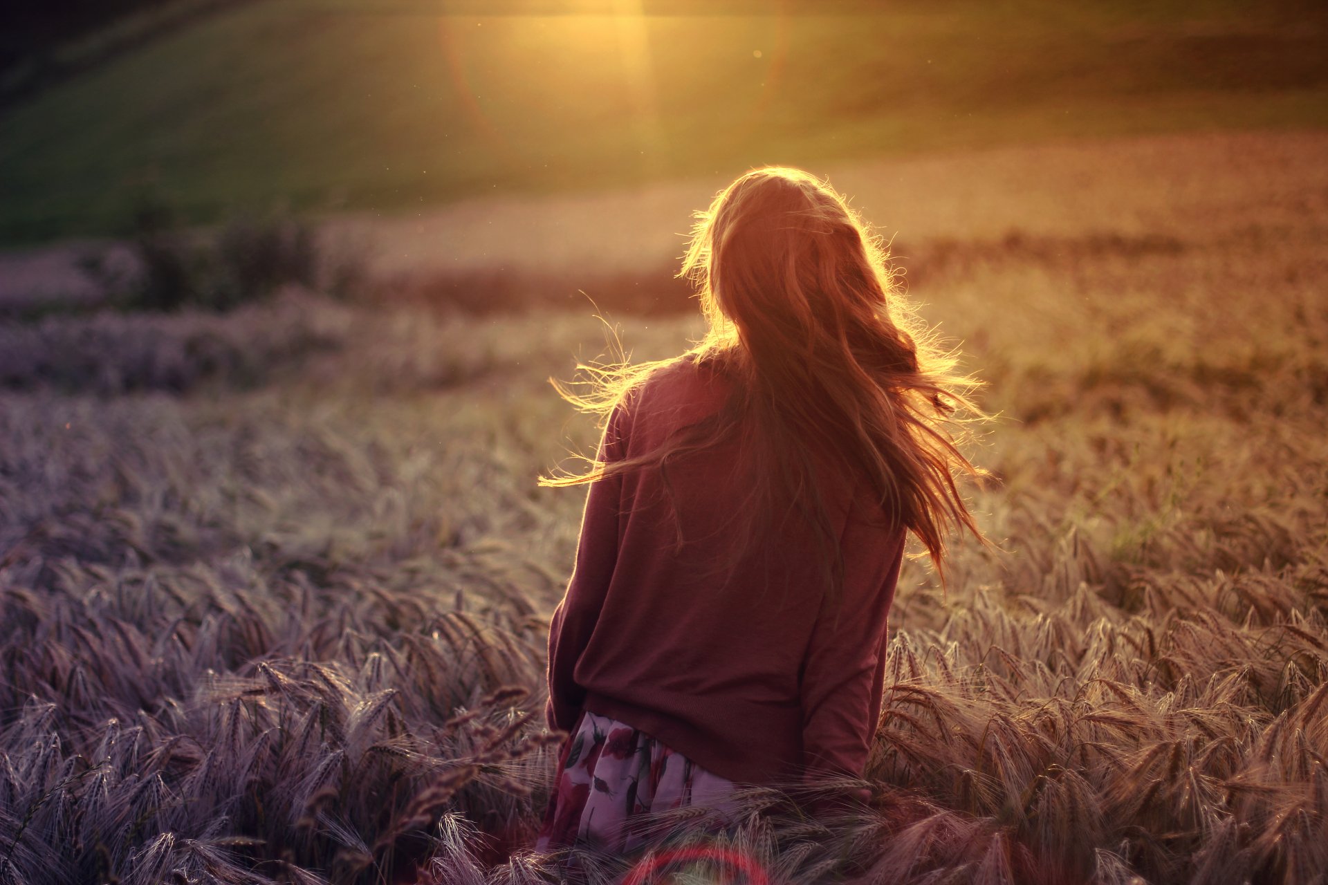 mood girl brunette nature the field plants rye wheat sun rays background wallpaper widescreen full screen hd wallpapers beautiful wallpapers