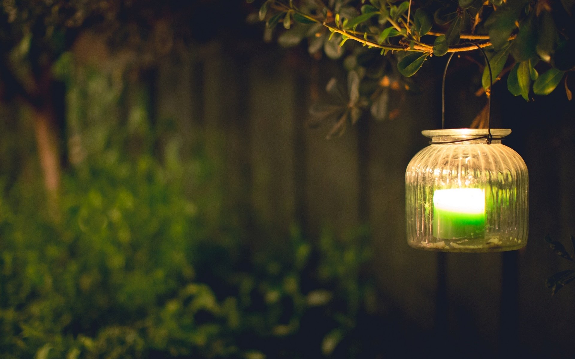 mood light lamps green candle leaves branch blur tree background wallpaper widescreen full screen hd wallpapers fullscreen