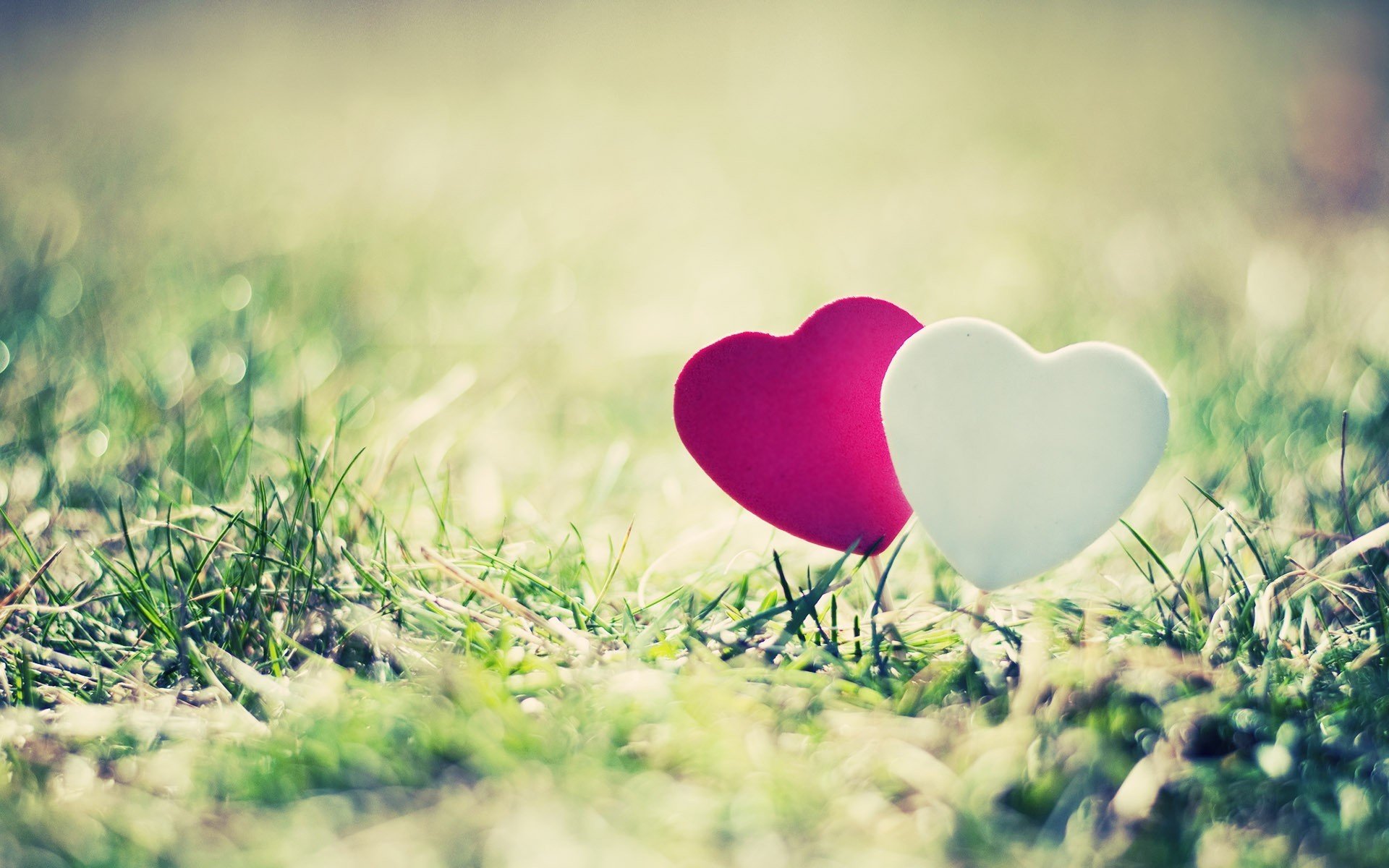 mood nature landscape grass green heart pink love beautiful background sun wallpapers hd wallpapers full screen