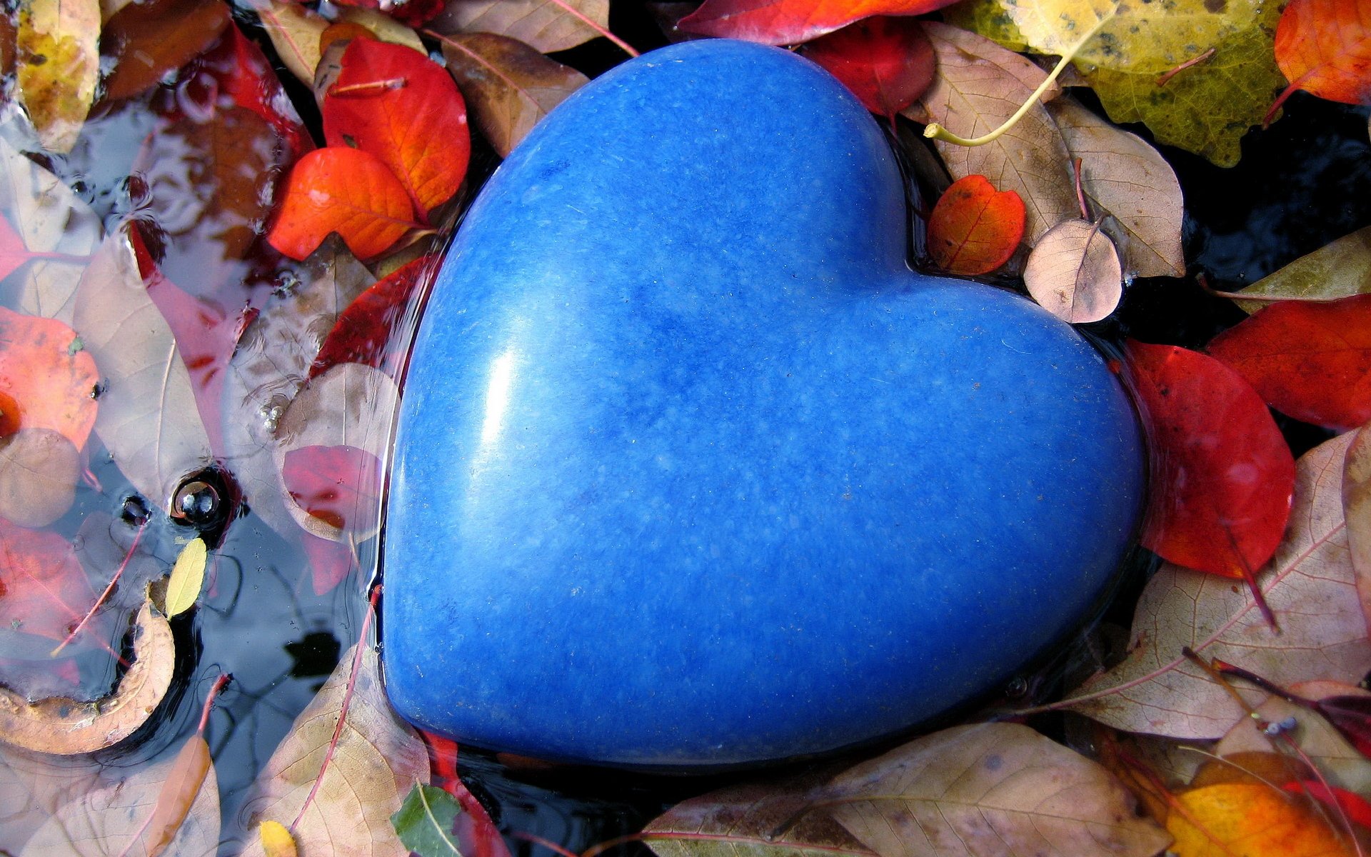 mood feelings love stone heart form blue flowers a pool water leaves