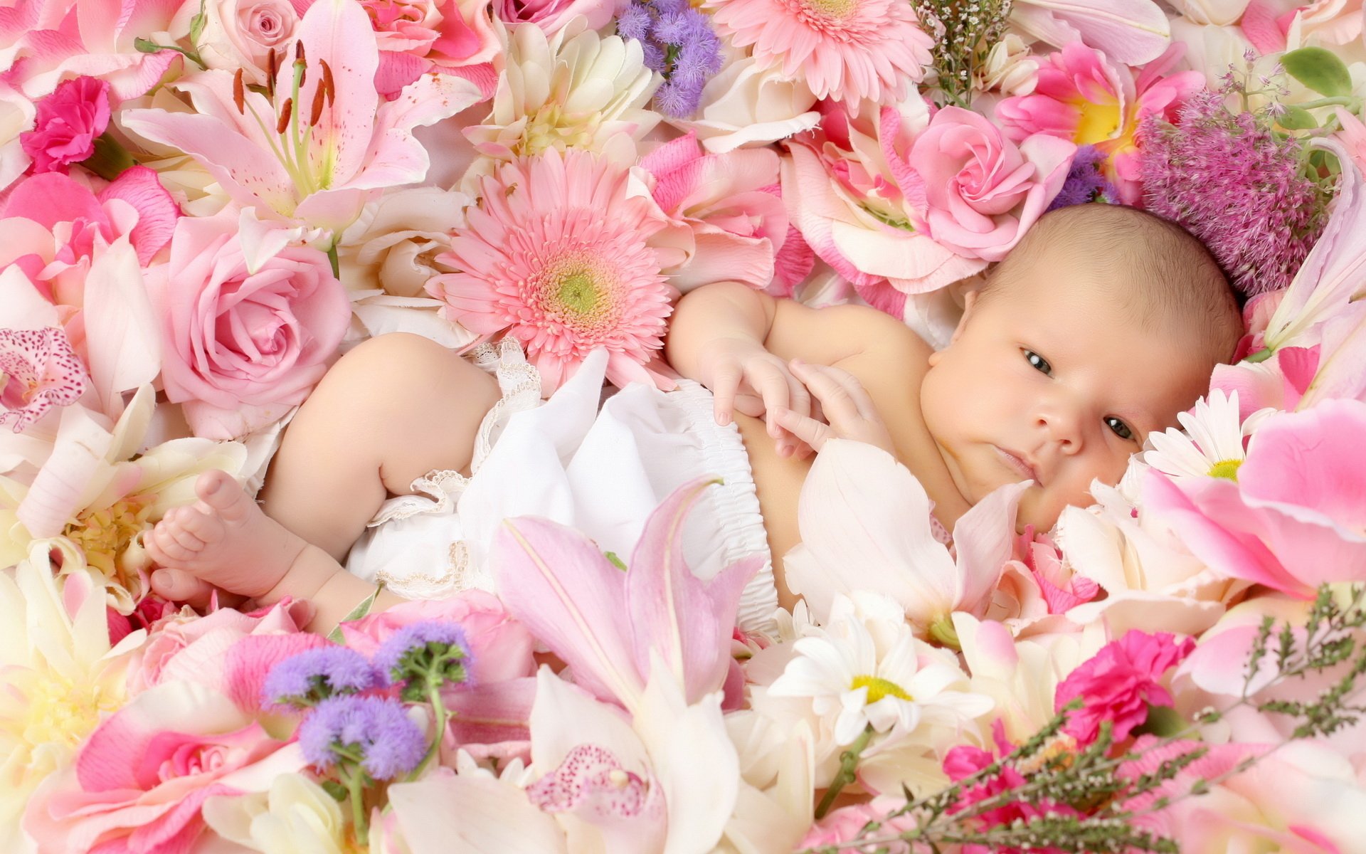 child children babe flower roses lilies gerbera happiness schate positive