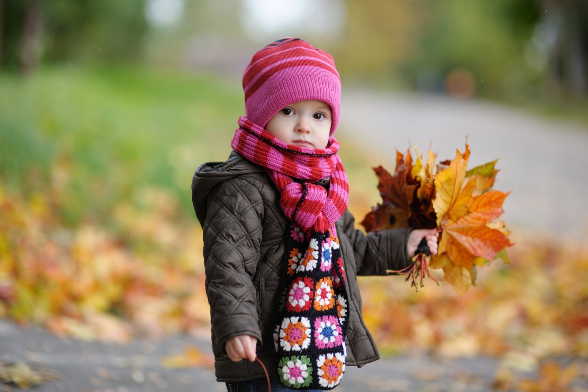 kid boy child childhood children cute autumn leaves blur boys