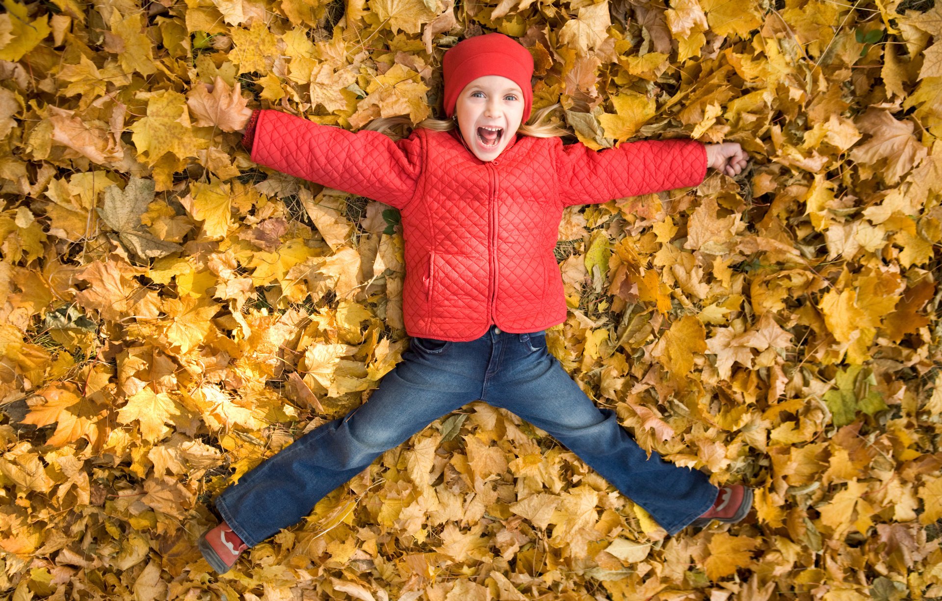 happy little girl autumn leaves happiness smiling playing fun children childhood child smile