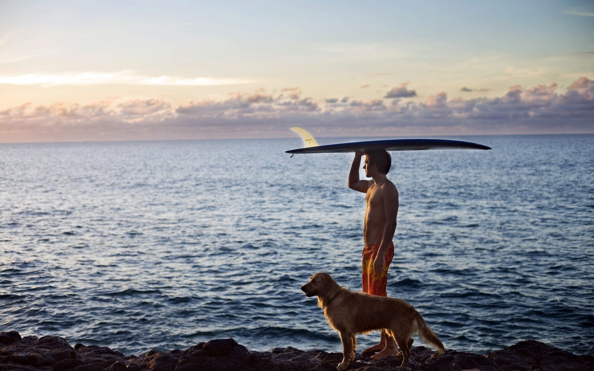 sea ocean coast beach dog surfing the distance horizon sky clouds sports
