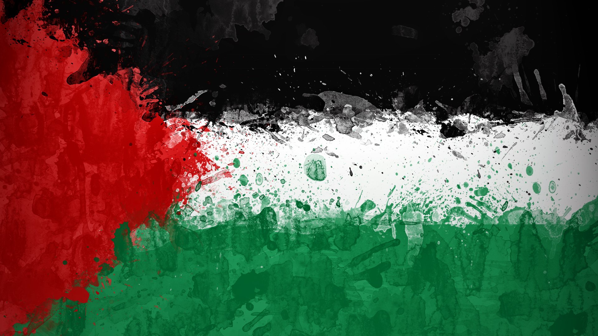 palestine palestina flag paint
