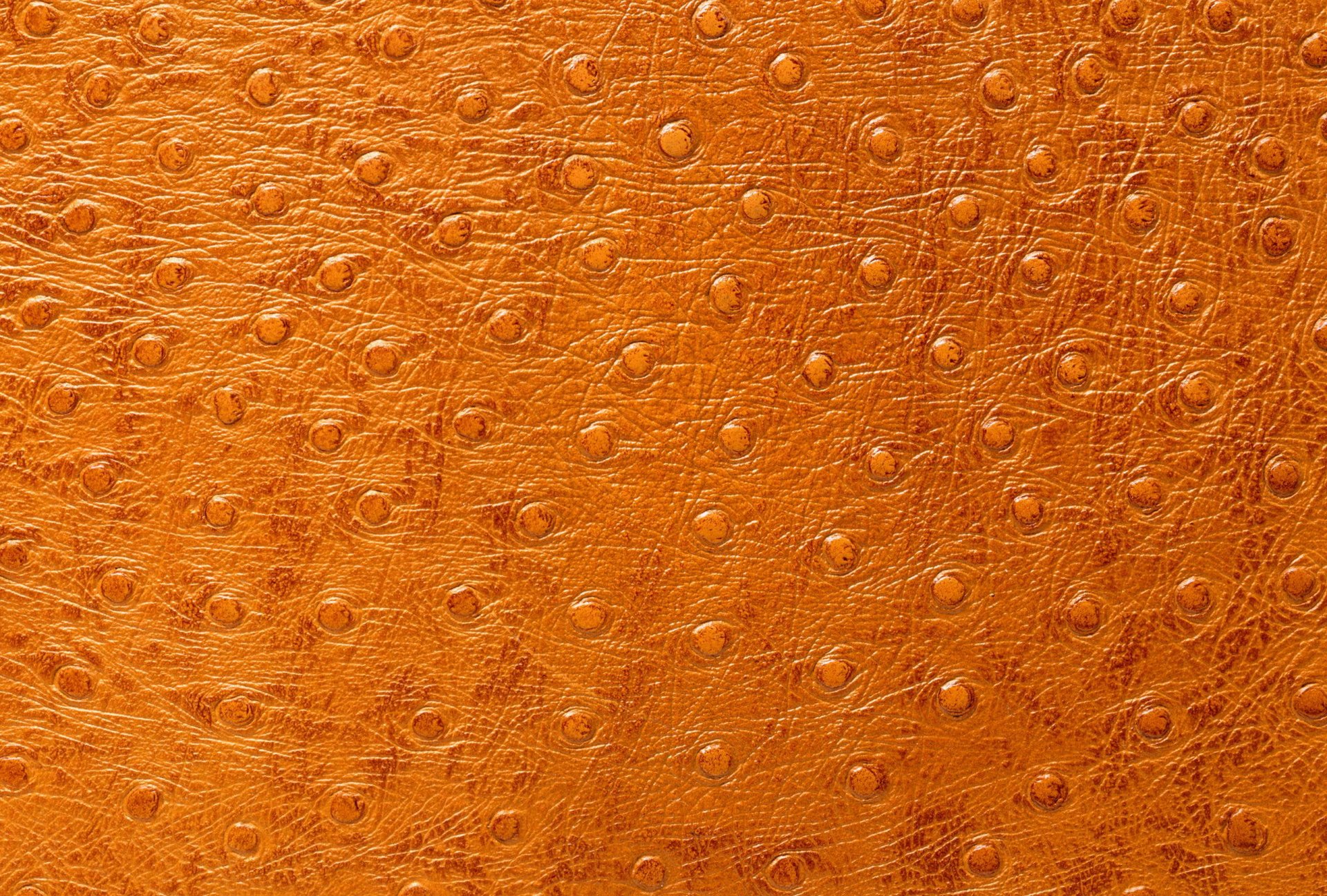 textures leather tanning animal texture desktop background