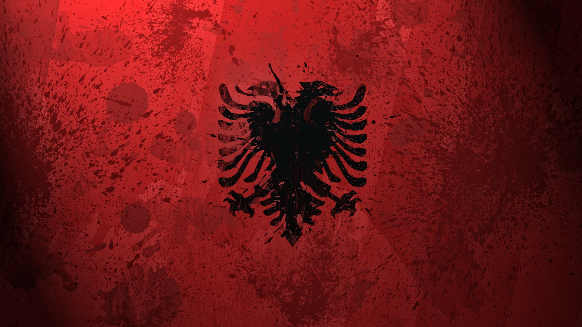albania flag paint