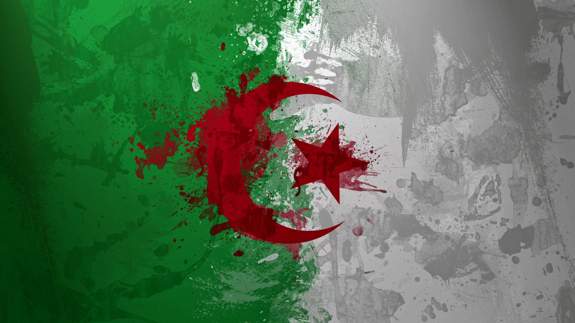 algeria flag paint