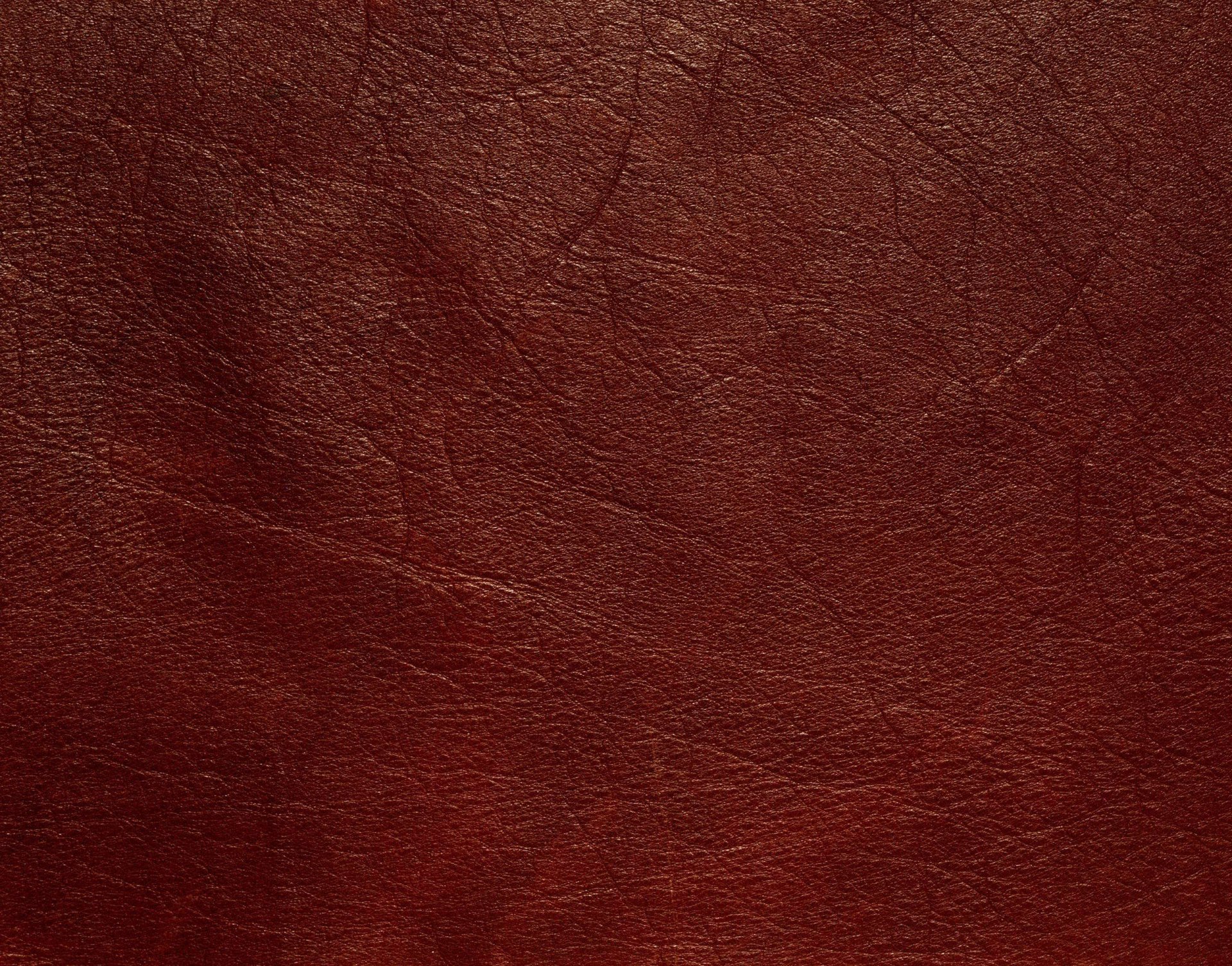 textures leather streaks tanning animal texture desktop background