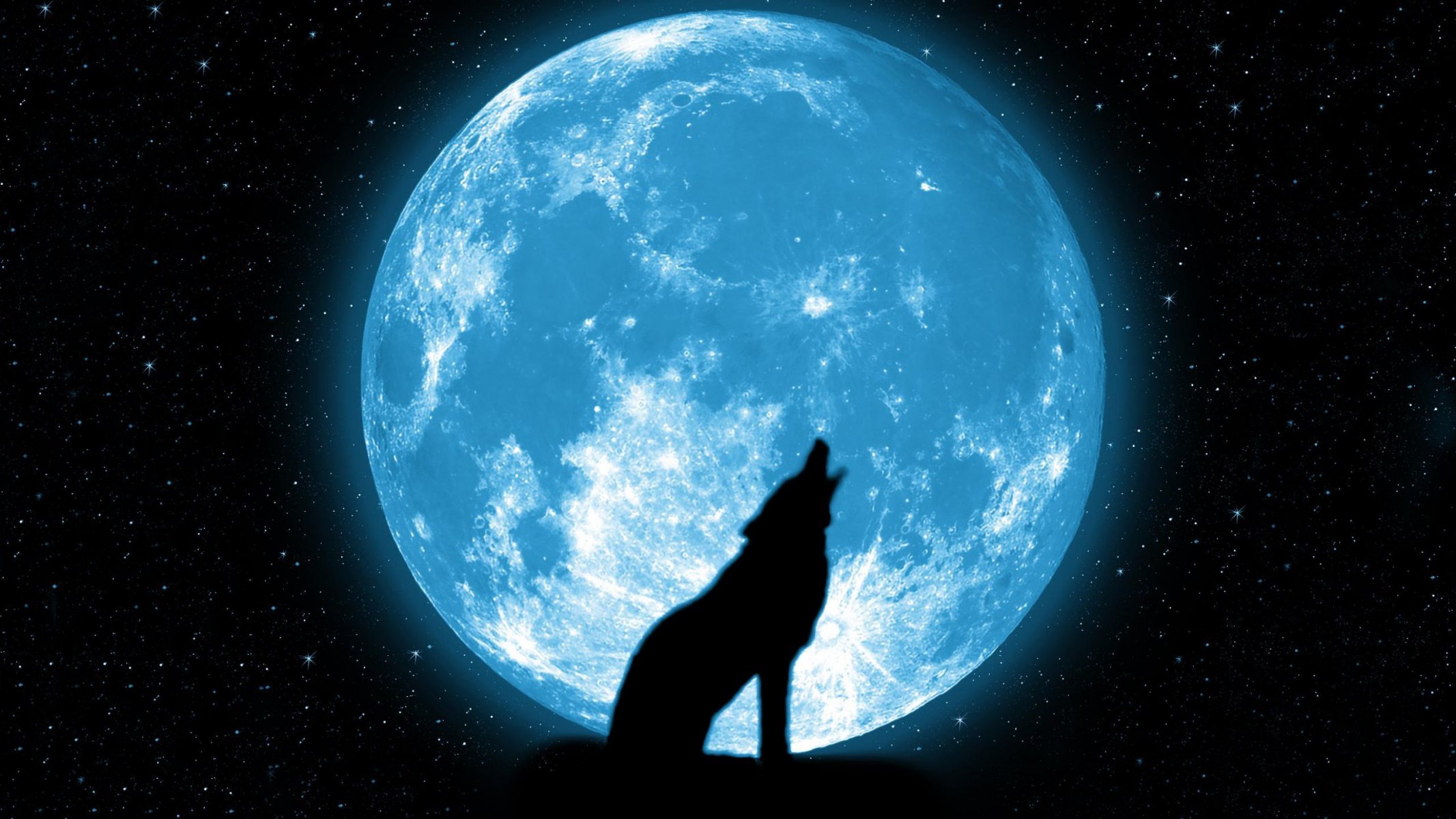 moon wolf howl star beautiful