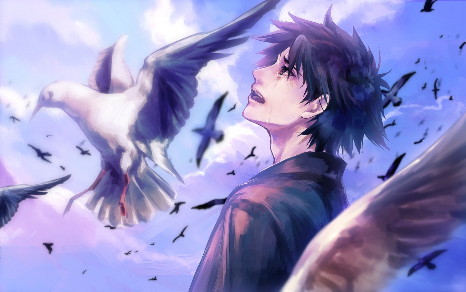 art tamachi kuwa anime fate stay night fate zero emiya kiritsugu guy birds tears sky clouds