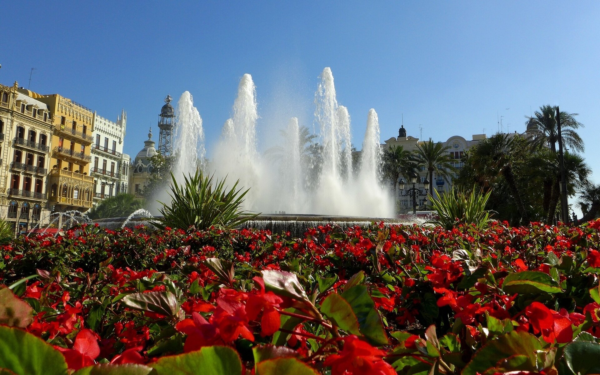valencia spain fountain flower begonia bed