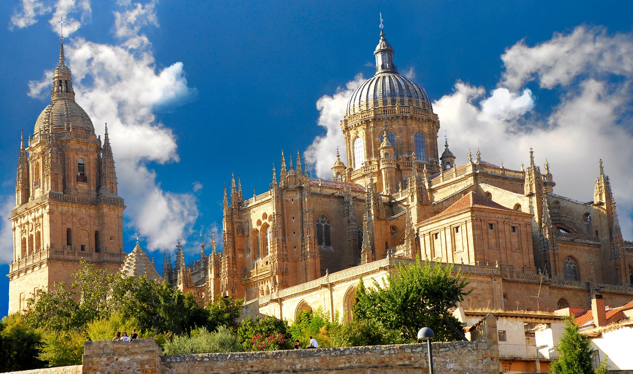 spain españa salamanca salamanca catedral cathedral town gothic landscape architecture