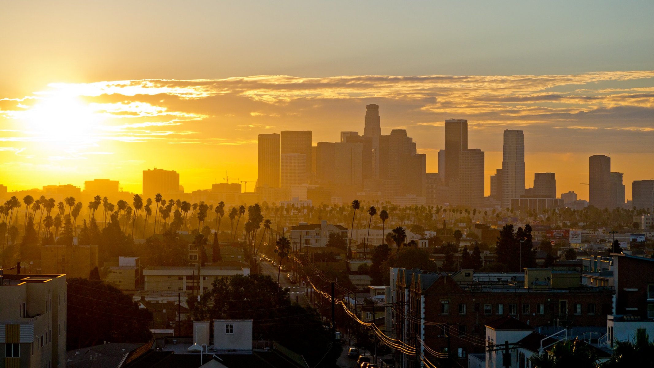 usa united states los angeles california wallpaper skyscraper palm buildings road . sunset sun clouds sky palms city sunset