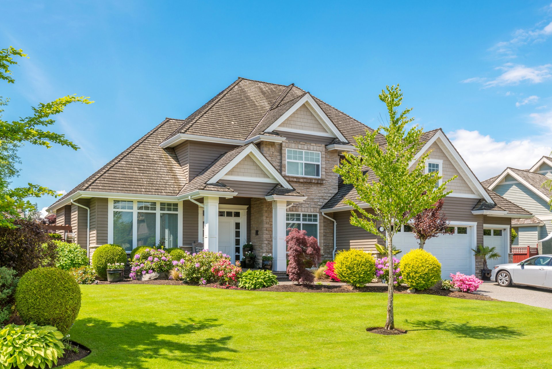 house turf beds flower grass green tree design