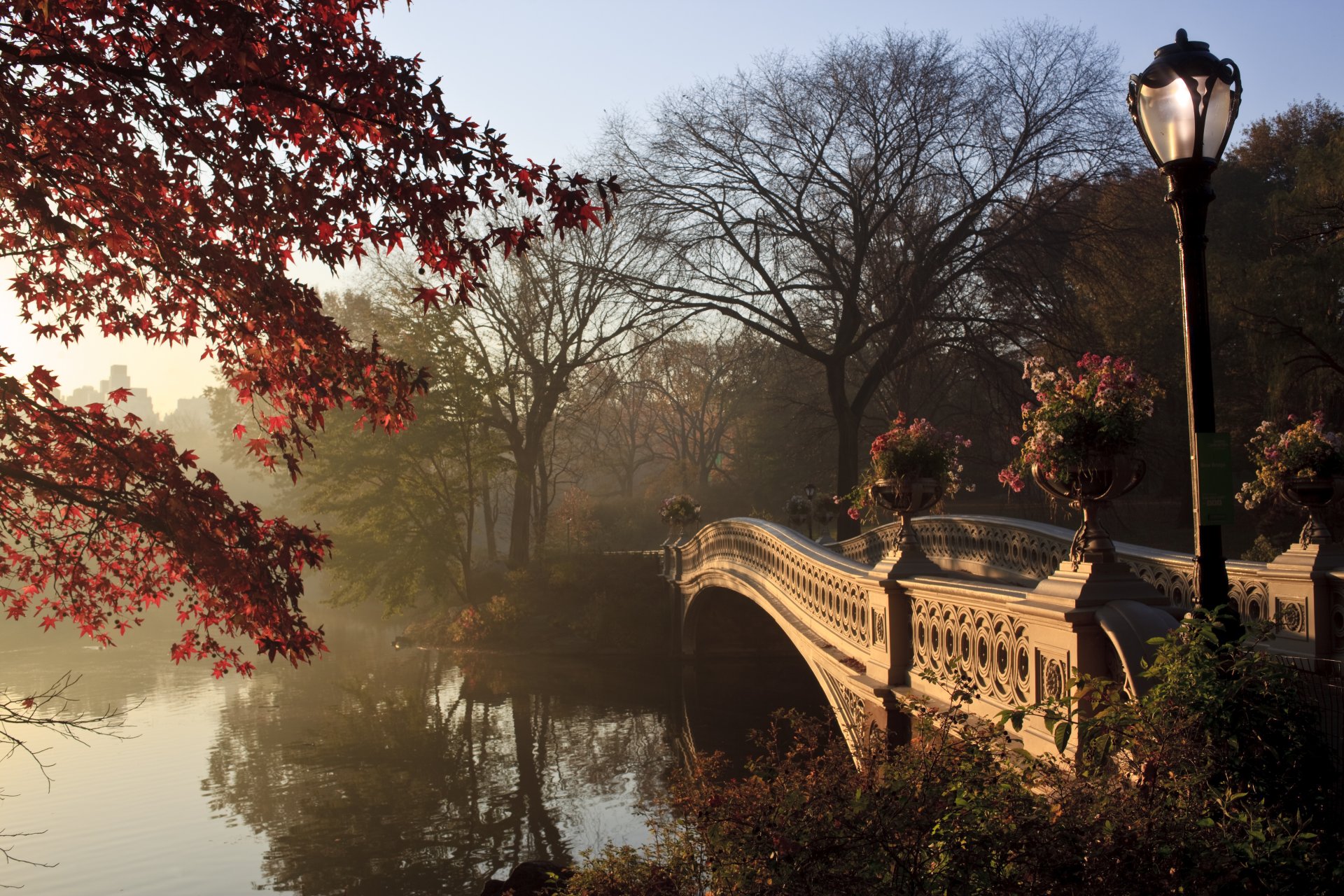 new york city central park autumn tree trees bridge lamppost lamp nature landscape lake new york tree light