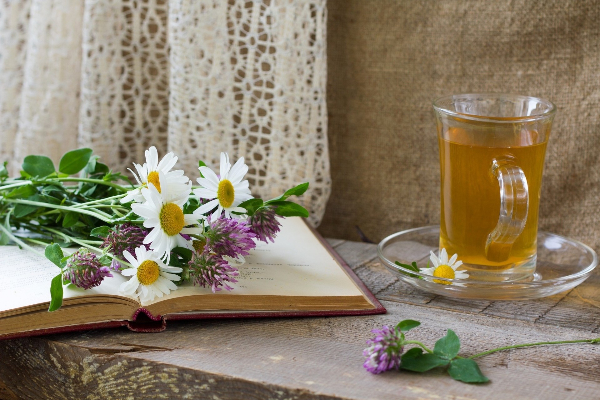 saucer allium chamomile book torment tea flower cup
