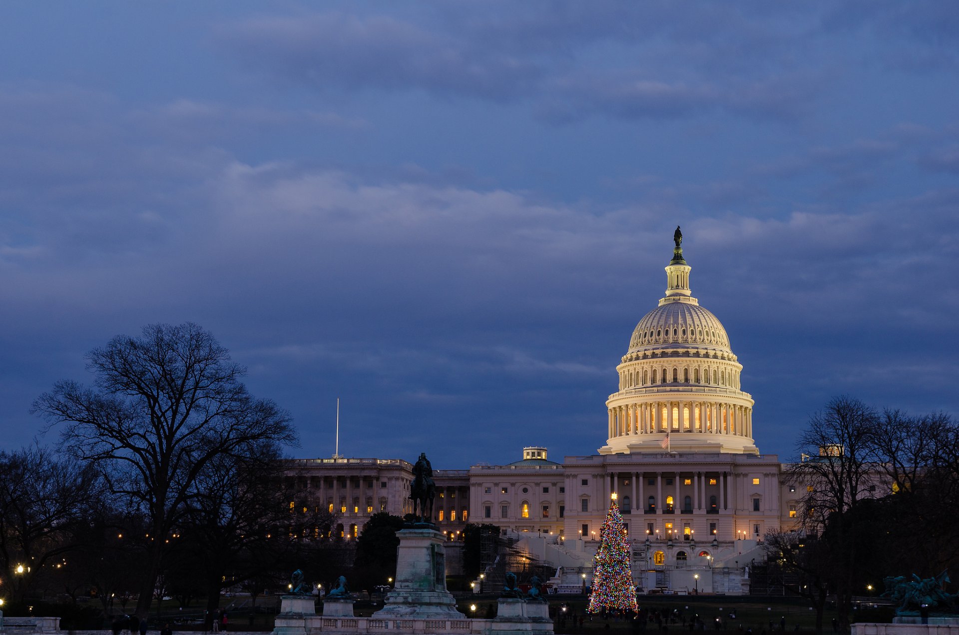 washington usa united states capitol evening meeting place park united states capitol tree night light lighting blue sky clouds