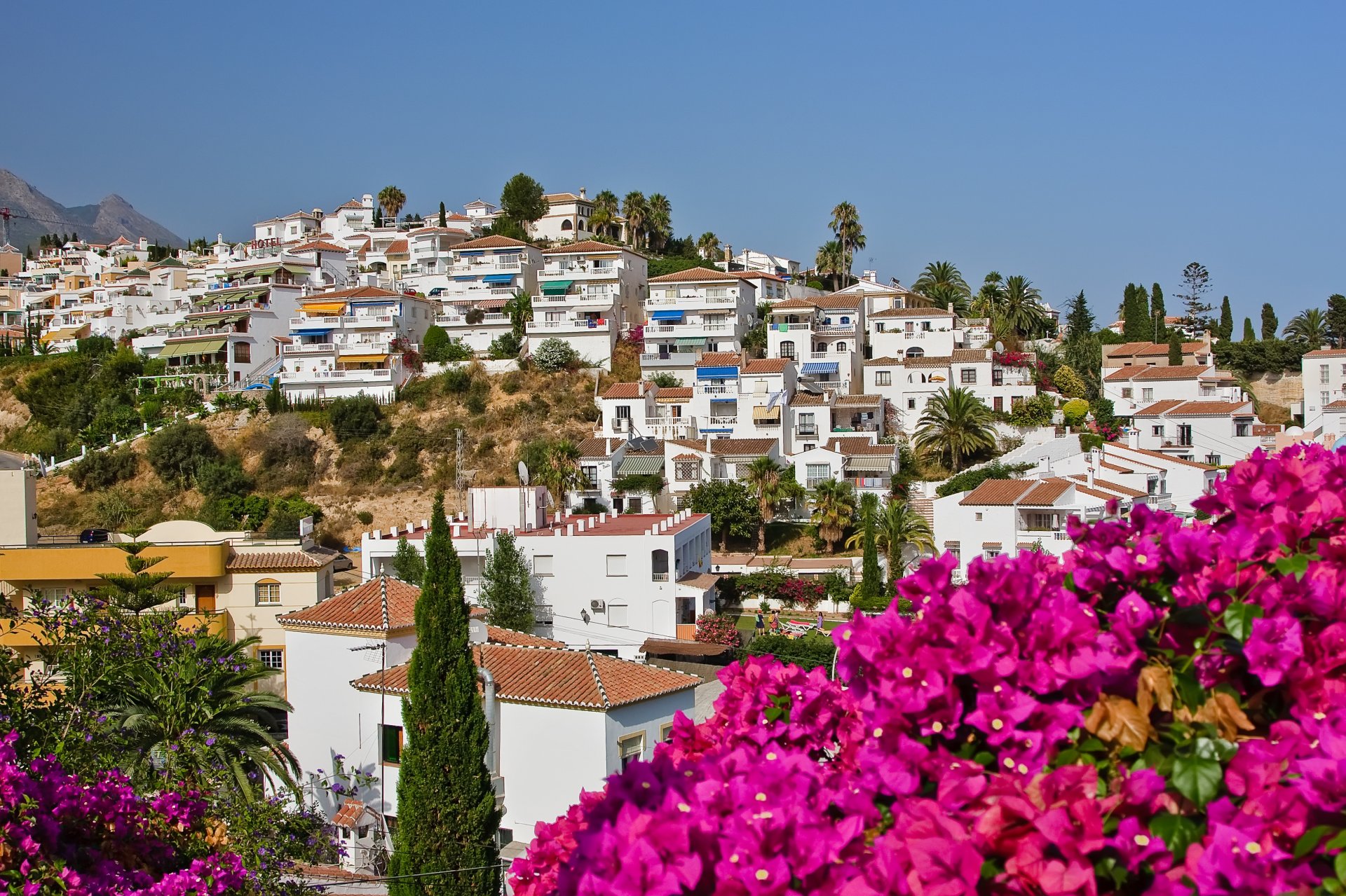 spanish landscape nerja spain flowers houses sky palms tress nature city flower house palm tree town