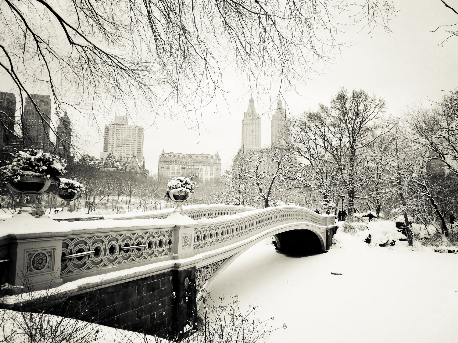 new york city nyc usa manhattan central park bow bridge new york united states town winter snow nature tree
