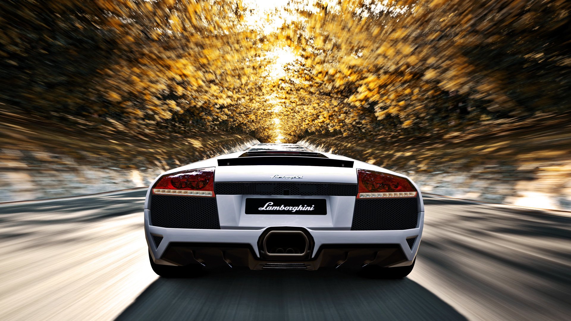 Lamborghini murcielago LP640 races at the speed of light in autumn
