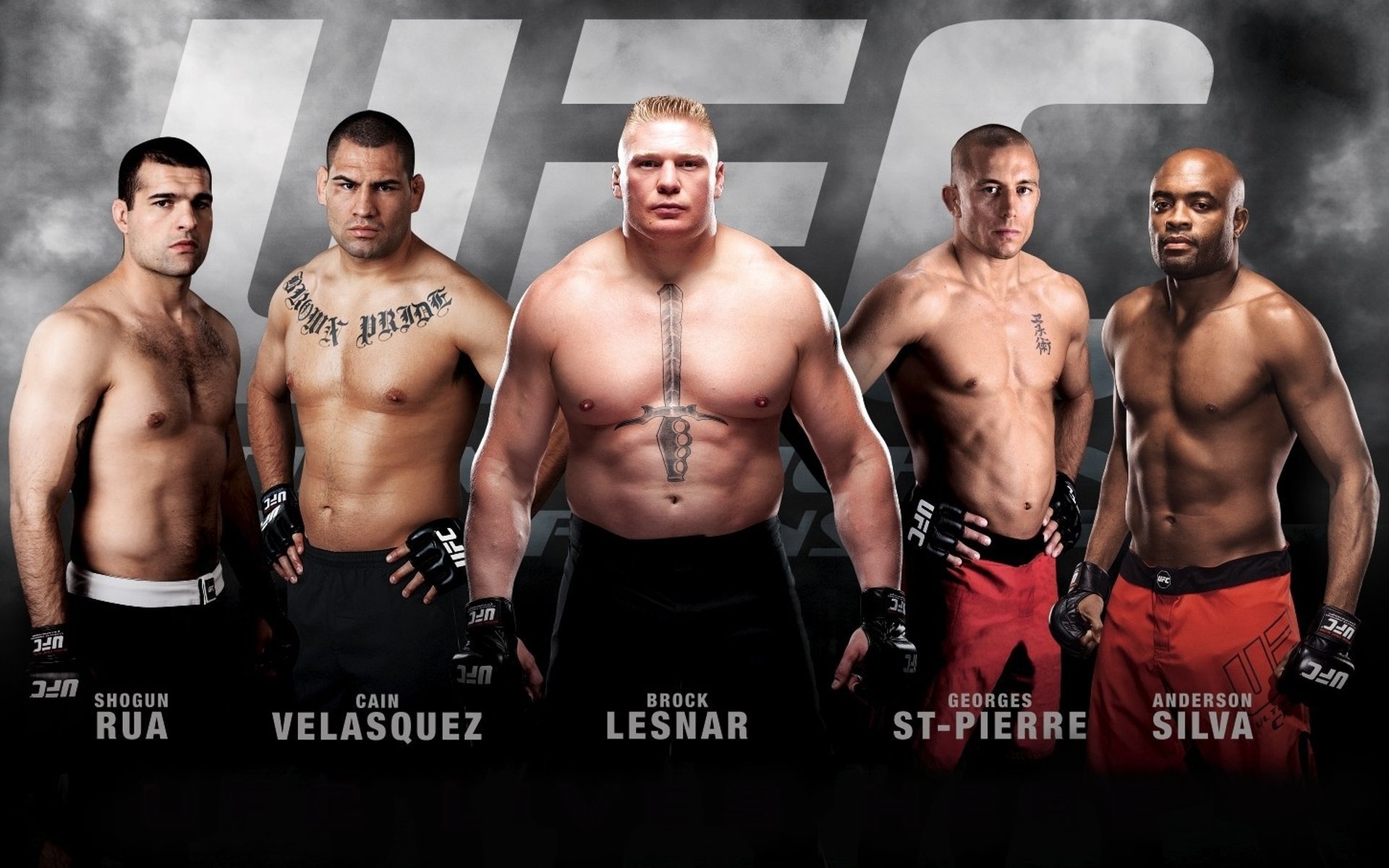 mma ufc mixed martial arts men cain velasquez anderson silva georges st-pierre mauricio rua brock lesnar champion