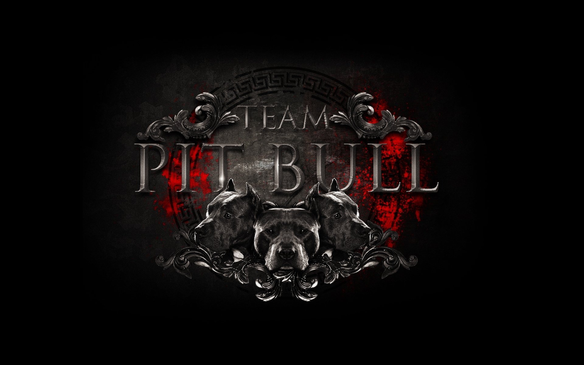 mma logo team pit bull team fight club mixed martial arts pit bulls