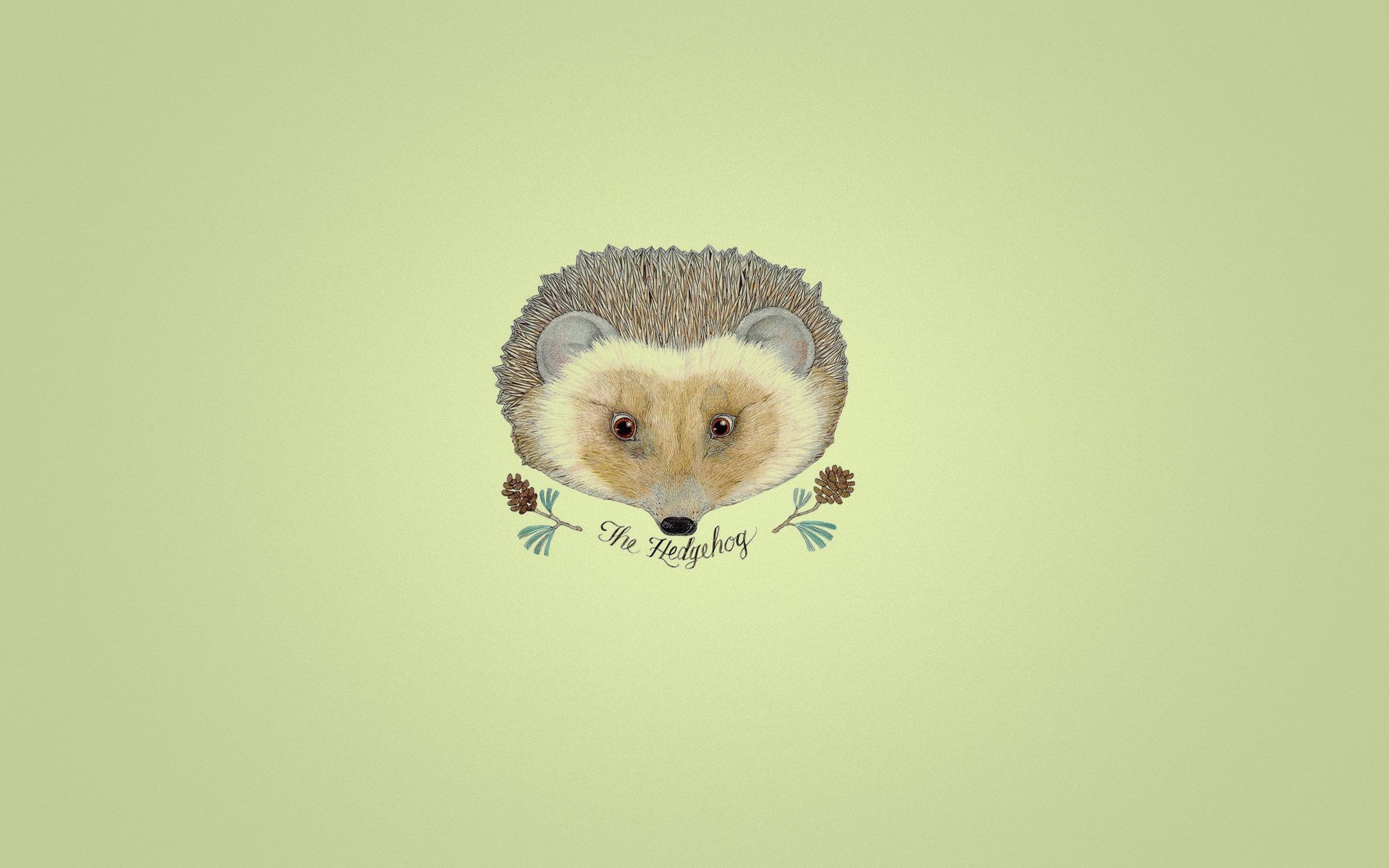A painted hedgehog on a yellow background
