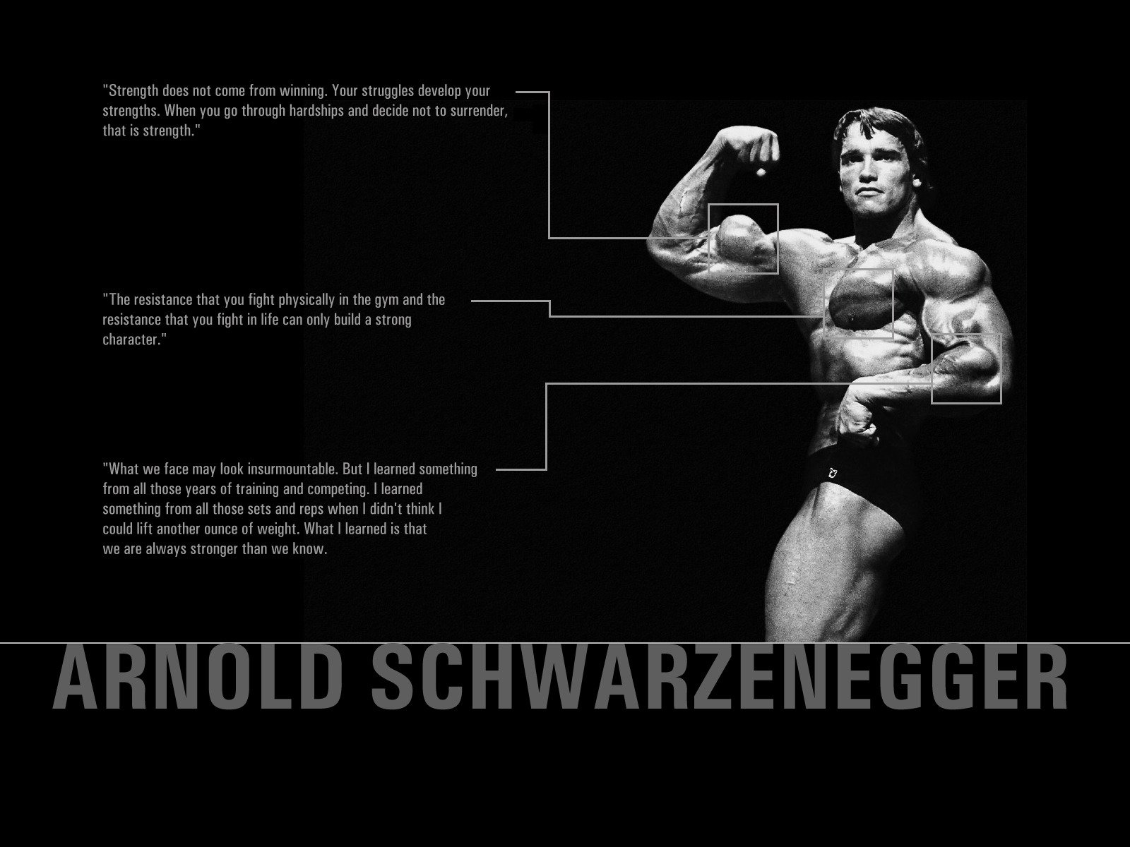 arnold schwarzenegger power quotes the body muscles