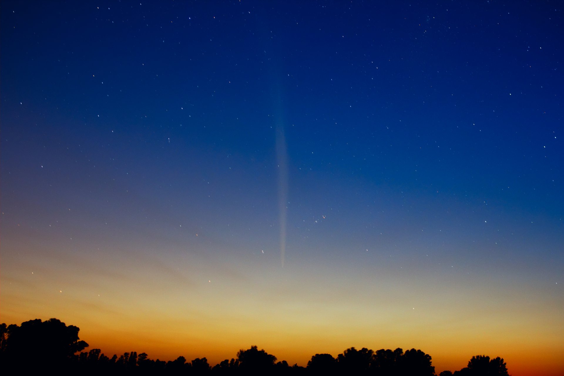 lovejoy comet star southern hemisphere dawn