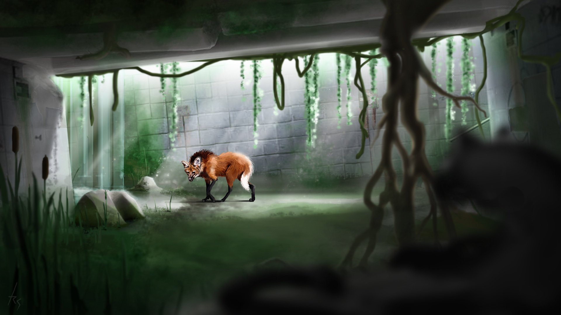 The evil fox in the cave