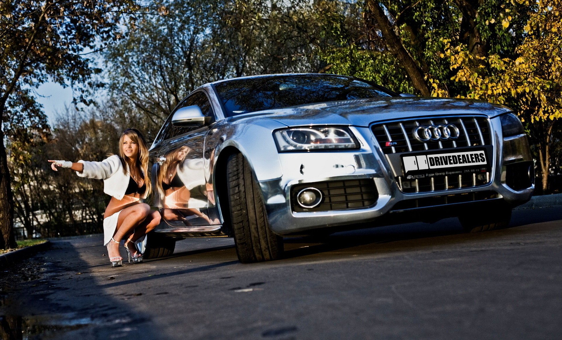 Beautiful girl on the background of audi s5