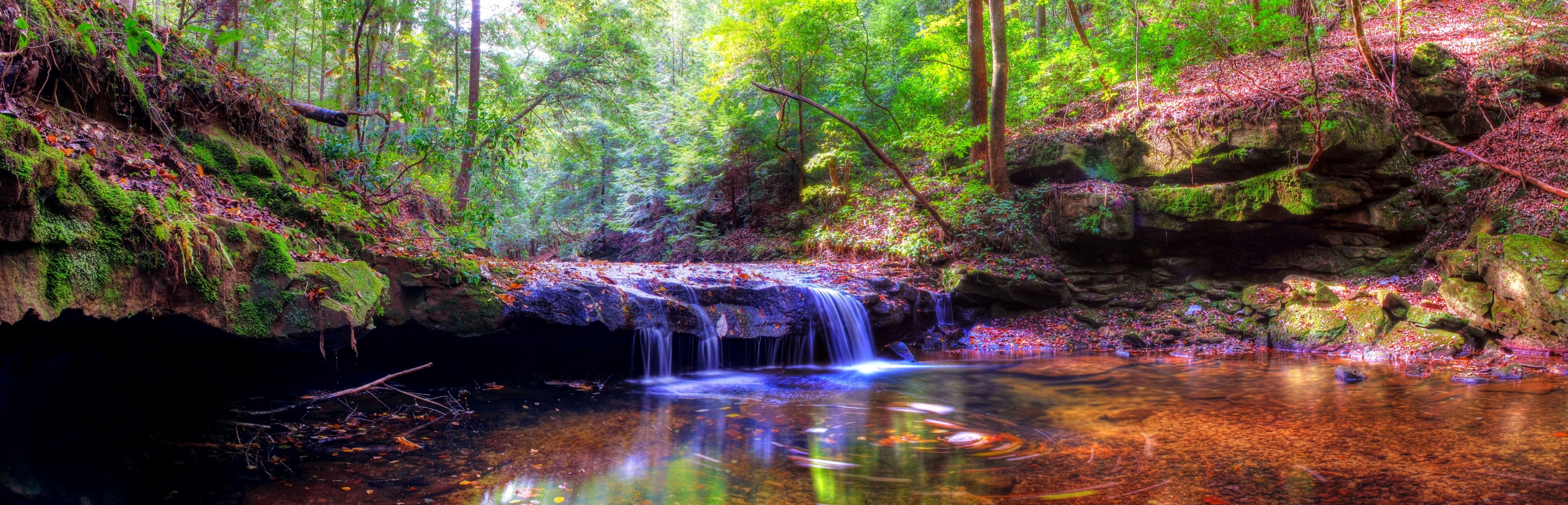 landscape waterfall pond tree forest panorama