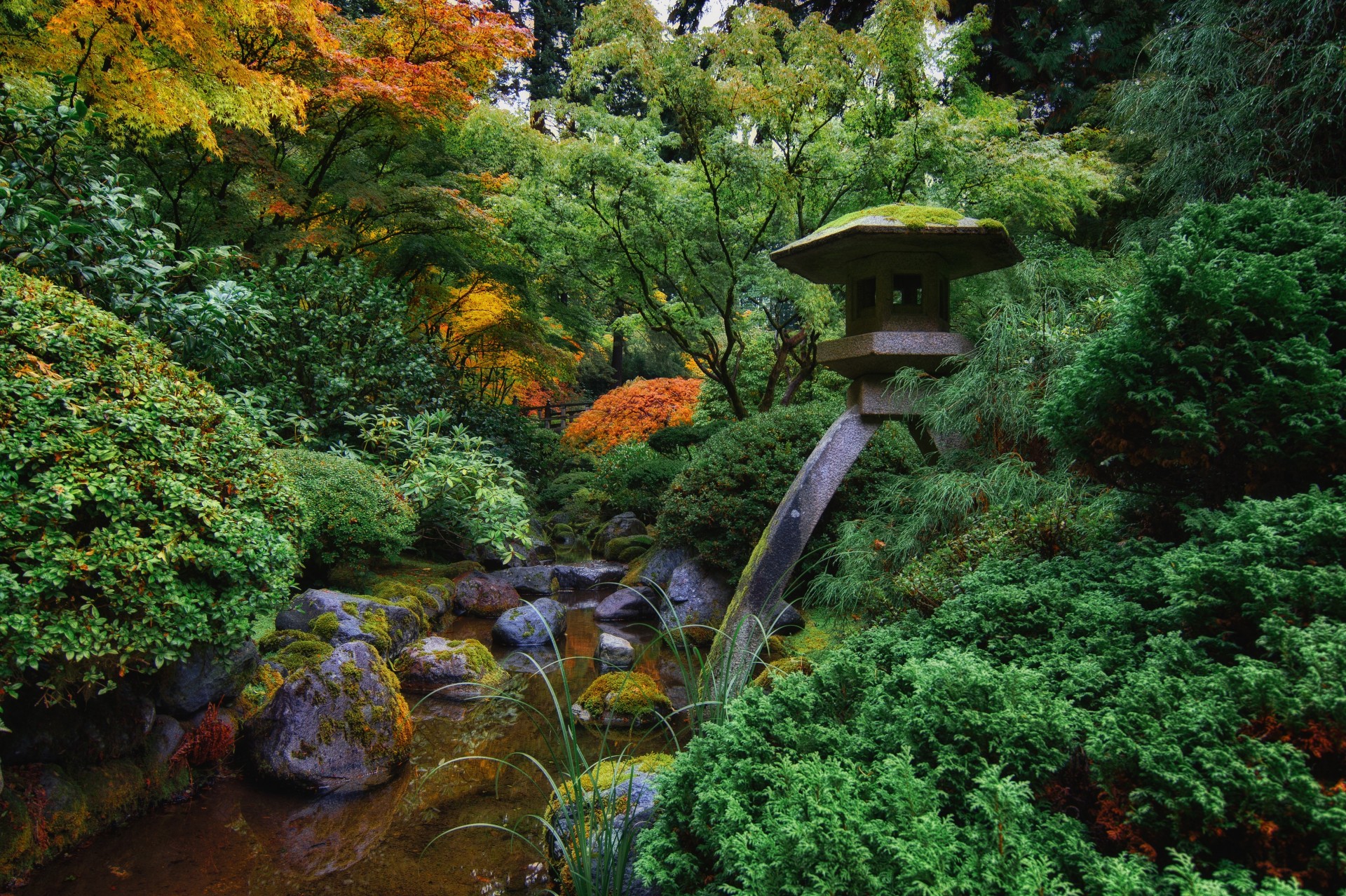 stones landscape tree portland river japanese garden