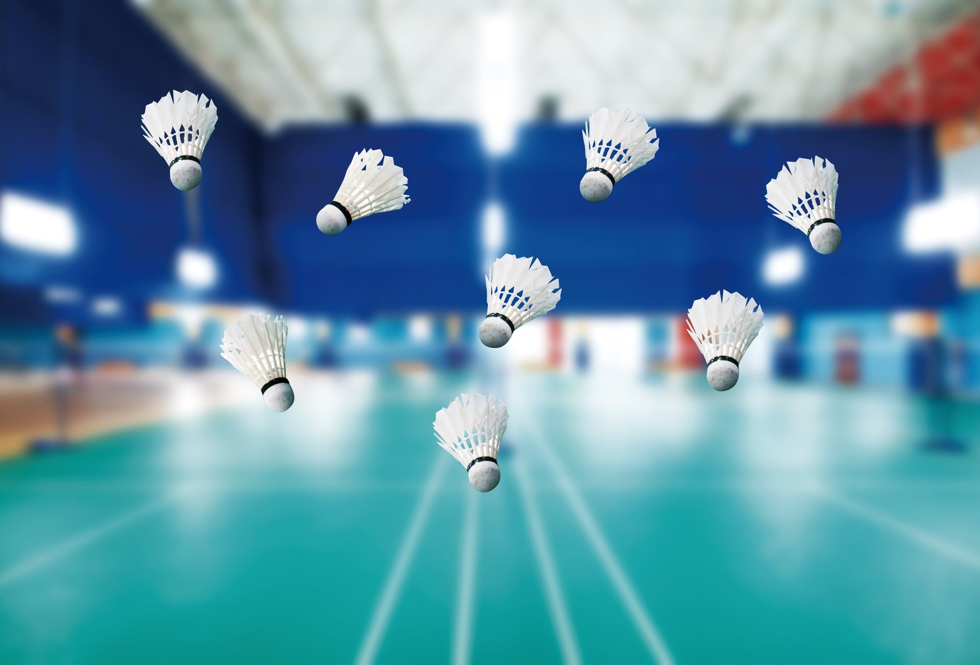sports badminton court gym shuttlecock birdies weightlessness moment flight good idea background blur bokeh wallpaper.