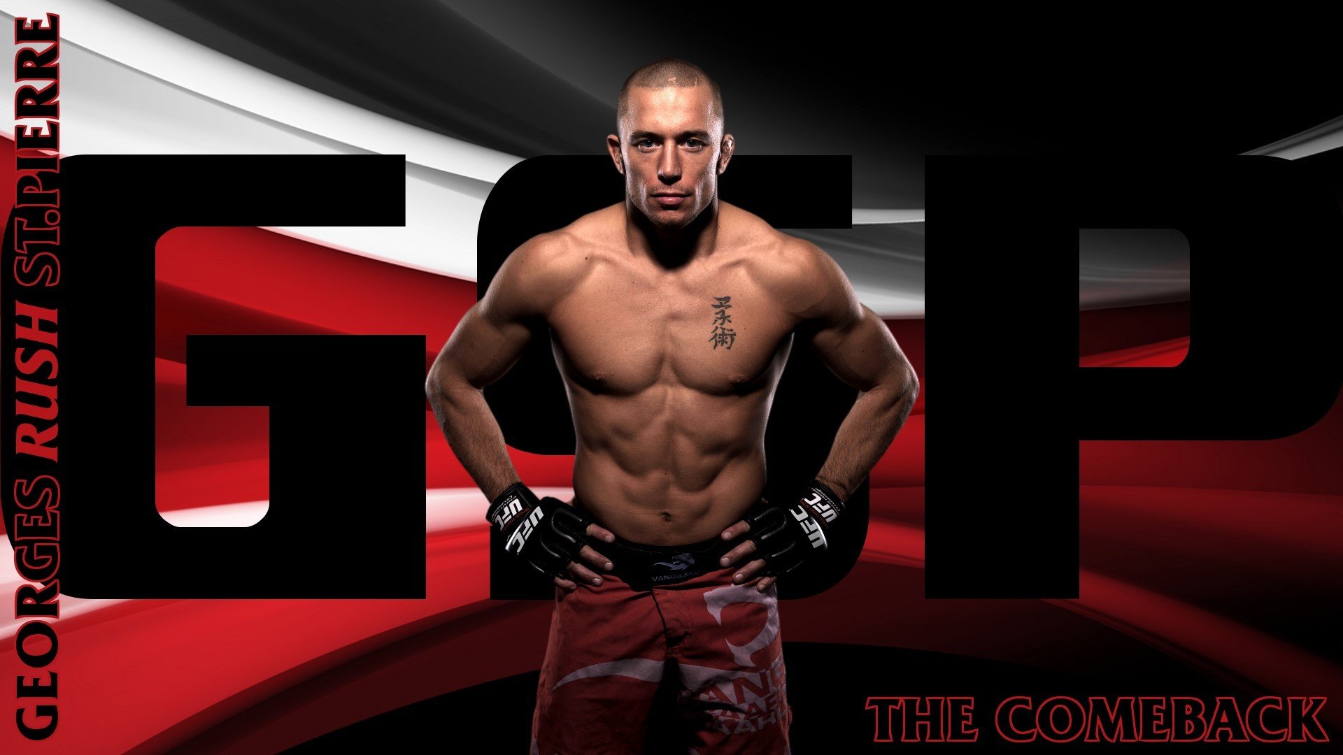mma ufc georges st-pierre fighter mixed martial arts champion