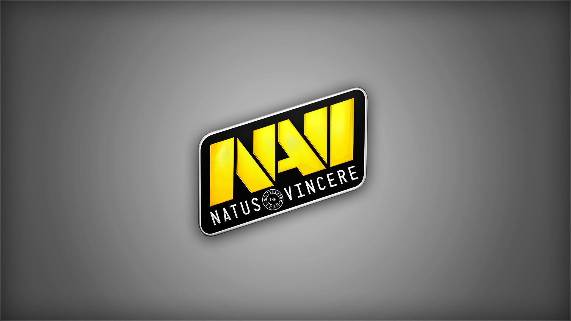 natus vincere na`vi counter-strike dota 2 champion team