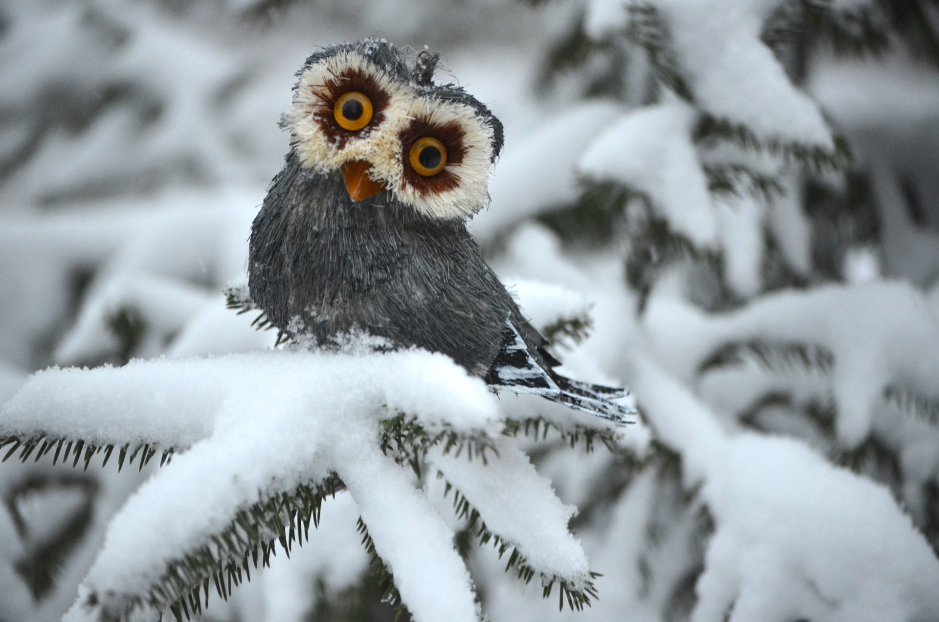 A toy owl sits on a snow-covered fir tree in winter