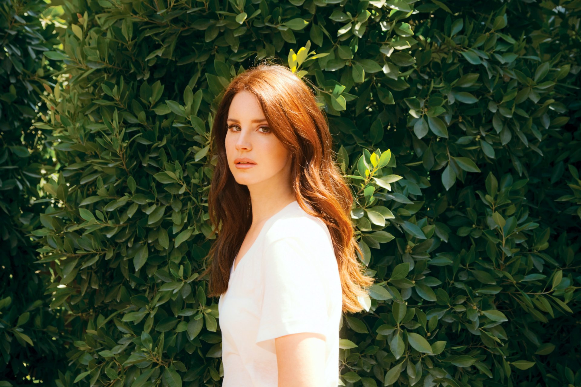 lana del rey elizabeth woolridge grant singer girl hair long red background leaves