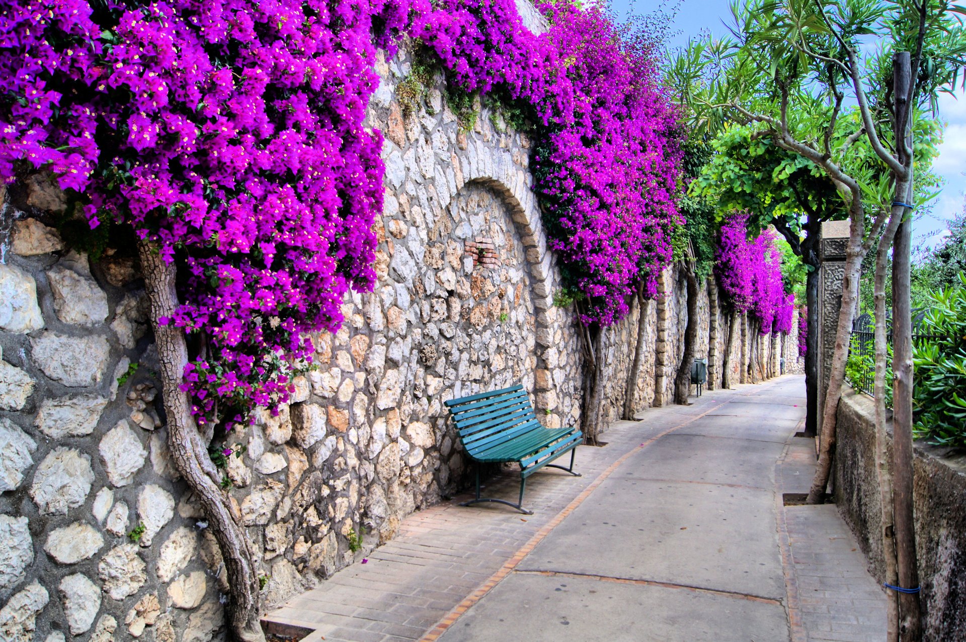 A beautiful street with a bench and purple flowers