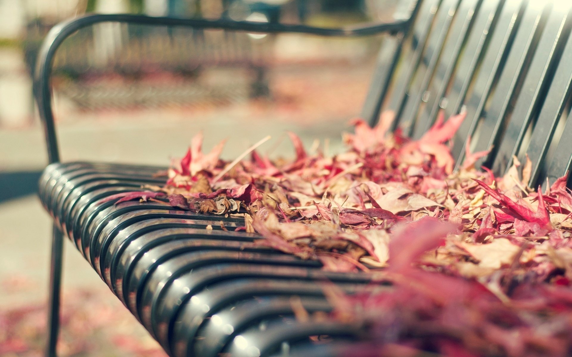 A bench with fallen autumn leaves