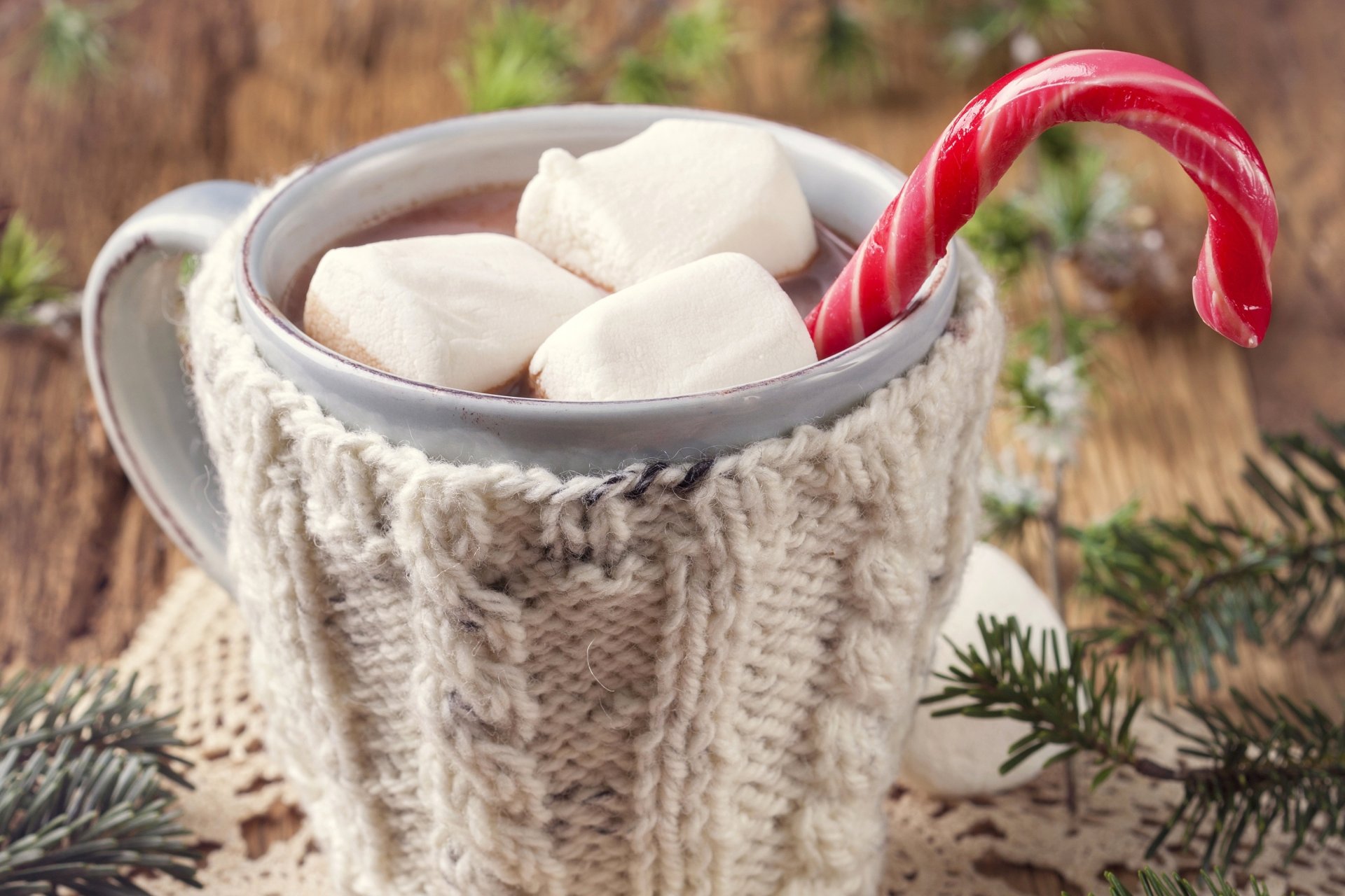 marshmallow candy marshmallows lollipop cane sticks food cup cocoa branches spruce winter new year christmas